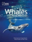 Whales : Their Past, Present and Future - Book