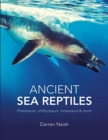 Ancient Sea Reptiles : Plesiosaurs, ichthyosaurs, mosasaurs and more - Book