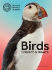Birds : Brilliant & Bizarre - Book