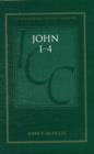 John 1-4 (ICC) : A Critical and Exegetical Commentary - Book