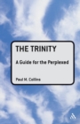 The Trinity: A Guide for the Perplexed - Book