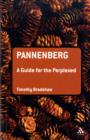 Pannenberg: A Guide for the Perplexed - Book