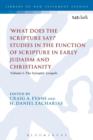What Does the Scripture Say?' Studies in the Function of Scripture in Early Judaism and Christianity : Volume 1: The Synoptic Gospels - Book
