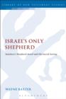 Israel's Only Shepherd : Matthew'S Shepherd Motif and His Social Setting - eBook
