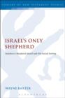 Israel's Only Shepherd : Matthew's Shepherd Motif and His Social Setting - Book