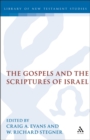 The Gospels and the Scriptures of Israel - eBook