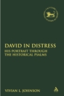 David in Distress : His Portrait Through the Historical Psalms - eBook