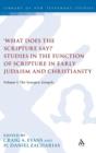 What Does the Scripture Say?' Studies in the Function of Scripture in Early Judaism and Christianity : Volume 1: The Synoptic Gospels - Book