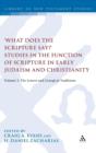 What Does the Scripture Say?' Studies in the Function of Scripture in Early Judaism and Christianity : Volume 2: The Letters and Liturgical Traditions - Book