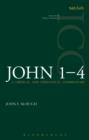 John 1-4 (ICC) : A Critical and Exegetical Commentary - eBook