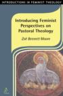 Introducing Feminist Perspectives on Pastoral Theology - eBook