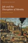 Job and the Disruption of Identity : Reading Beyond Barth - eBook
