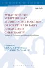 What Does the Scripture Say?' Studies in the Function of Scripture in Early Judaism and Christianity : Volume 2: The Letters and Liturgical Traditions - Book