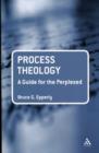 Process Theology: A Guide for the Perplexed - Book