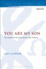 You Are My Son : The Family of God in the Epistle to the Hebrews - eBook