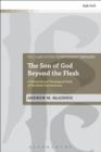 The Son of God Beyond the Flesh : A Historical and Theological Study of the Extra Calvinisticum - eBook