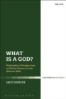 What is a God? : Philosophical Perspectives on Divine Essence in the Hebrew Bible - eBook