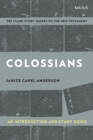 Colossians: An Introduction and Study Guide : Authorship, Rhetoric, and Code - Book