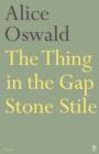The Thing in the Gap Stone Stile - eBook