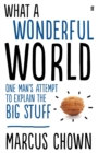 What a Wonderful World : One Man's Attempt to Explain the Big Stuff - eBook