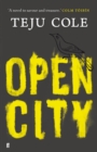 Open City - Book