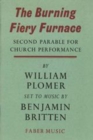 The Burning Fiery Furnace - Book