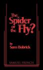 The Spider or the Fly? - Book