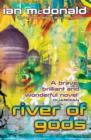 River of Gods - eBook