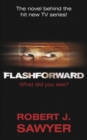FlashForward - eBook