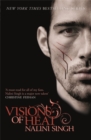 Visions of Heat : Your next paranormal romance obsession - Book