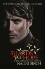Shards of Hope : Book 14 - Book