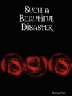 Such a Beautiful Disaster - Book