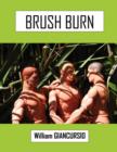 Brush Burn - Book