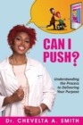 Can I Push? : Understanding the Process to Delivering Your Purpose - Book
