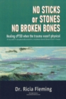 No Sticks or Stones No Broken Bones : Healing cPTSD When the Trauma wasn't Physical - Book