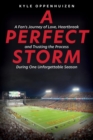 A Perfect Storm - eBook