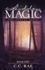 Hidden Magic : The Portal Opens - Book