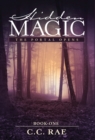 Hidden Magic : The Portal Opens - Book