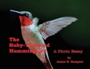 The Ruby-throated Hummingbird : A Photo Essay - Book