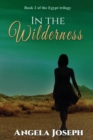 In The Wilderness : Book 2 of the Egypt trilogy - Book