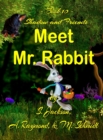 Shadow and Friends Meet Mr. Rabbit - Book
