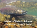 Idaho's Chinook Salmon : The Journey of a LIFE Cycle - Book