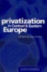 Privatization in Central and Eastern Europe - Book