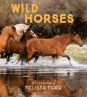 Wild Horses - Book