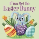 If You Met the Easter Bunny - Book