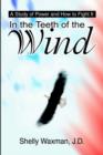 In the Teeth of the Wind : A Study of Power and How to Fight It - Book