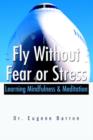Fly Without Fear or Stress : Learning Mindfulness - Book