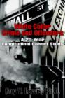 White Collar Crime and Offenders : A 20-Year Longitudinal Cohort Study - Book