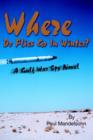 Where Do Flies Go in Winter? : A Gulf War Spy Novel - Book