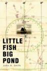 Little Fish Big Pond - Book